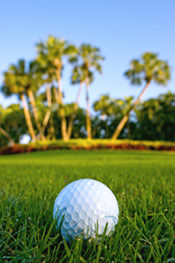 Team Lopez Chiropractic