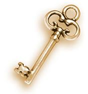 Team Lopez Chiropractic